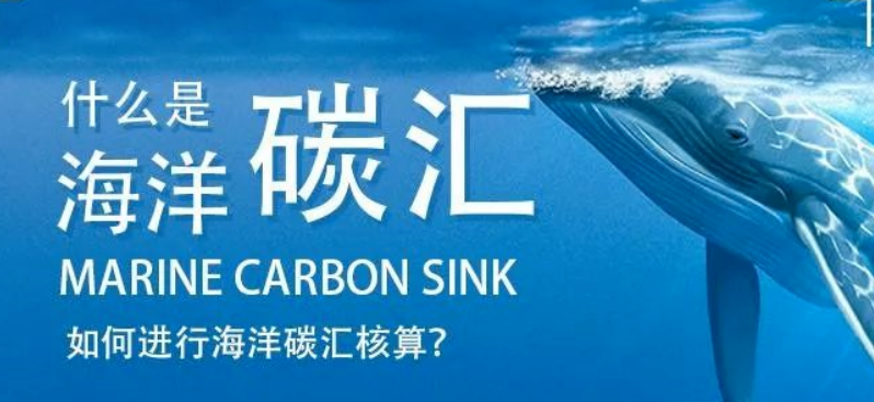 微信图片_20220922104819.png